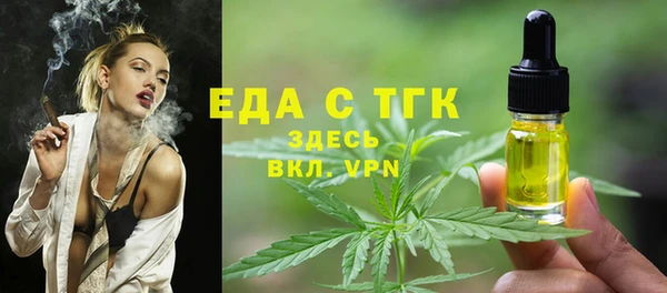 СК Медногорск