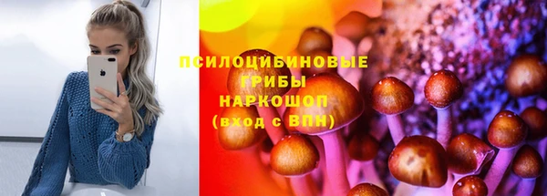 СК Михайловск