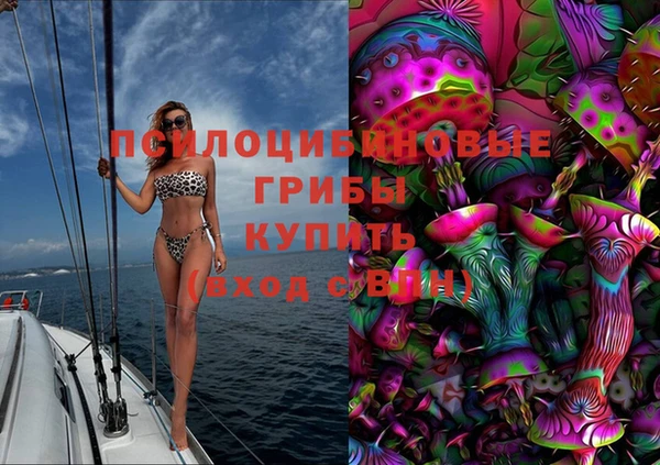 гидра Михайлов